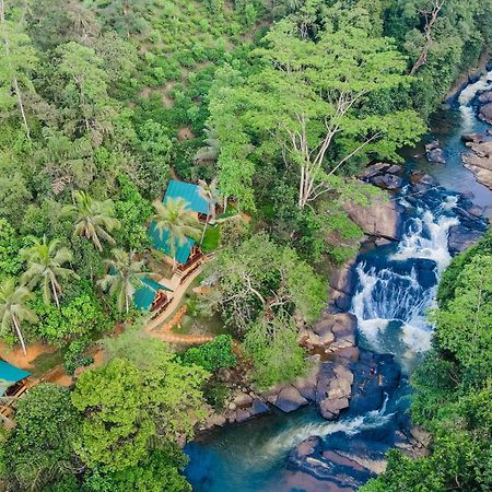 The Rainforest Hideaway Deniyaya Exteriör bild