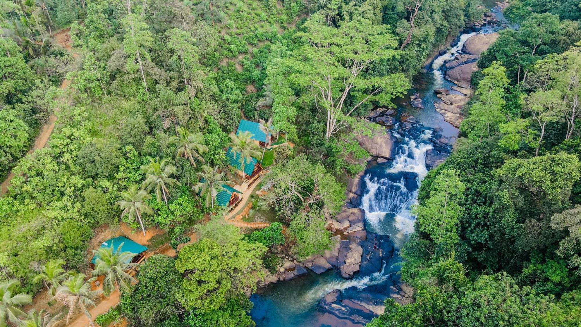 The Rainforest Hideaway Deniyaya Exteriör bild
