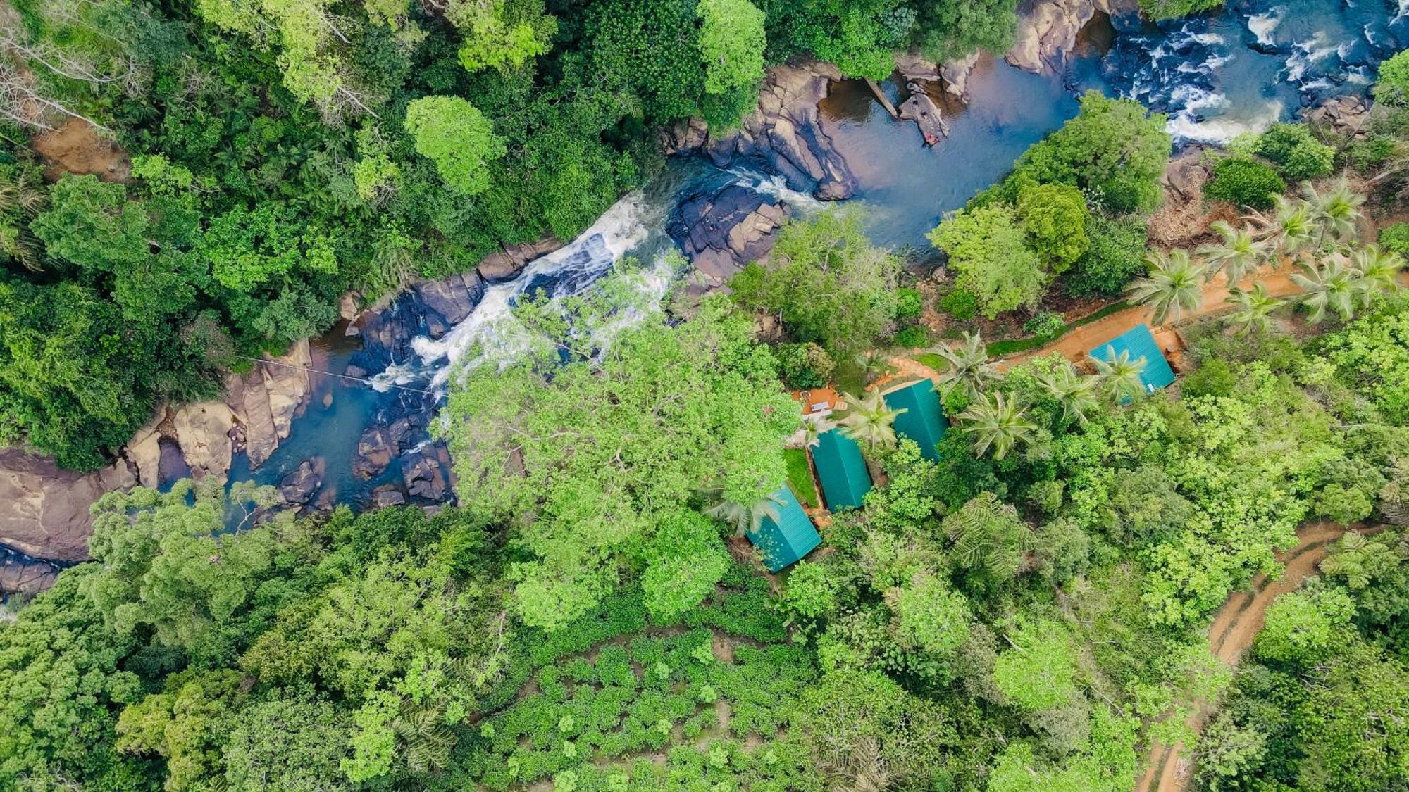 The Rainforest Hideaway Deniyaya Exteriör bild