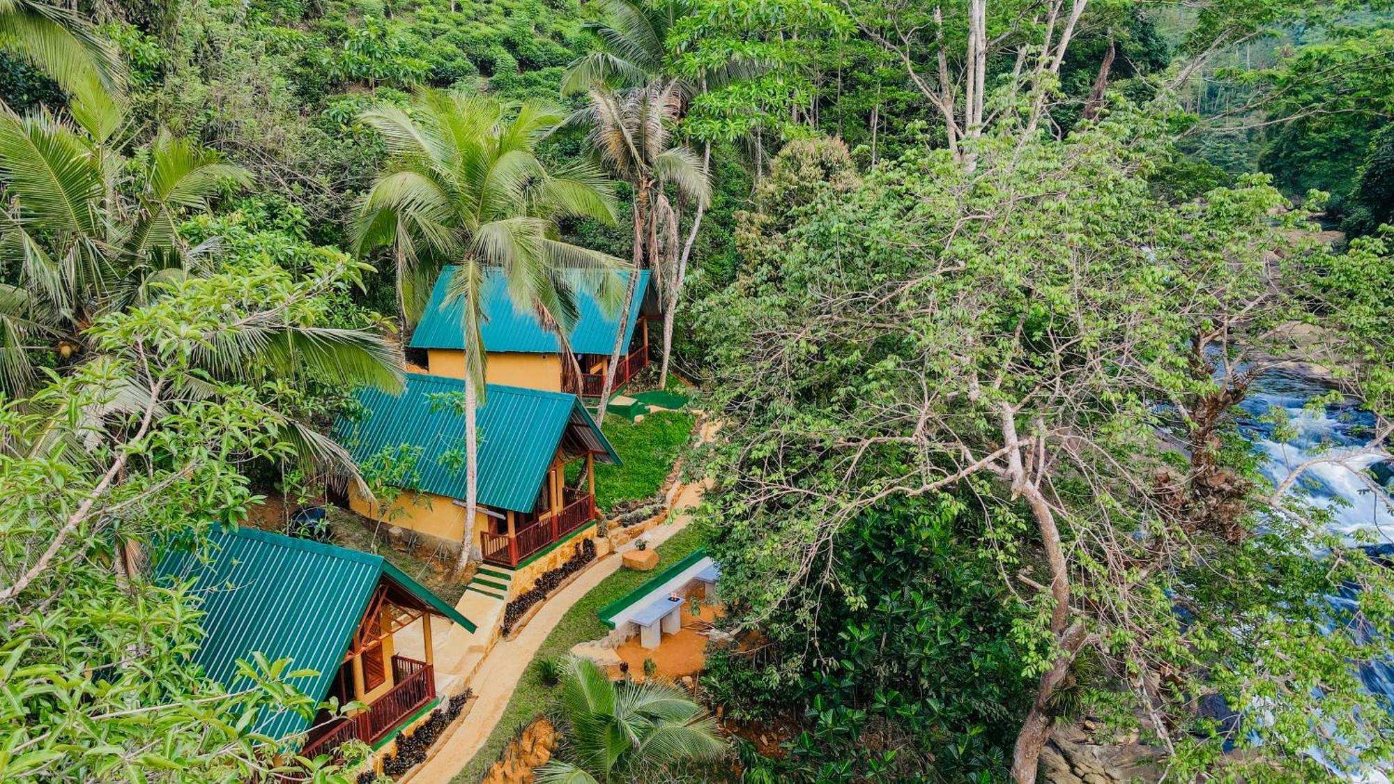 The Rainforest Hideaway Deniyaya Exteriör bild