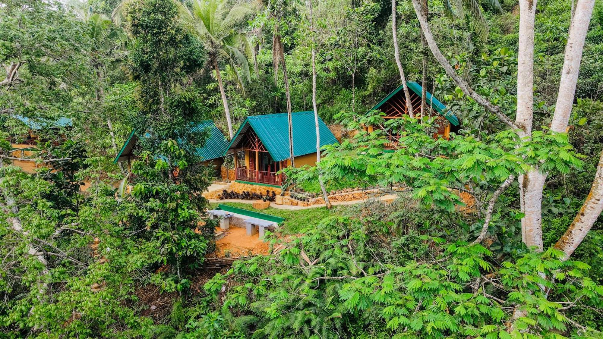 The Rainforest Hideaway Deniyaya Exteriör bild
