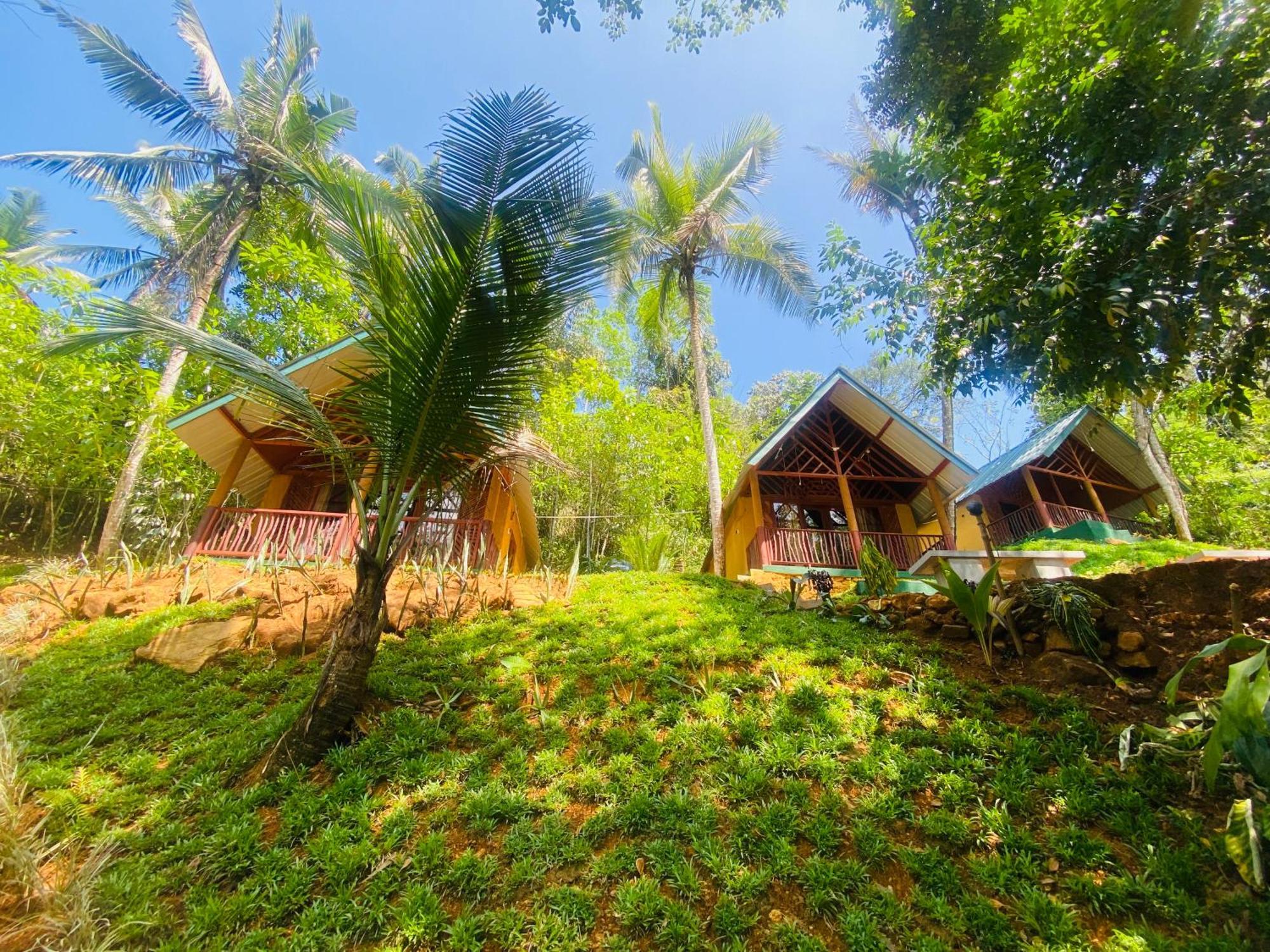 The Rainforest Hideaway Deniyaya Exteriör bild