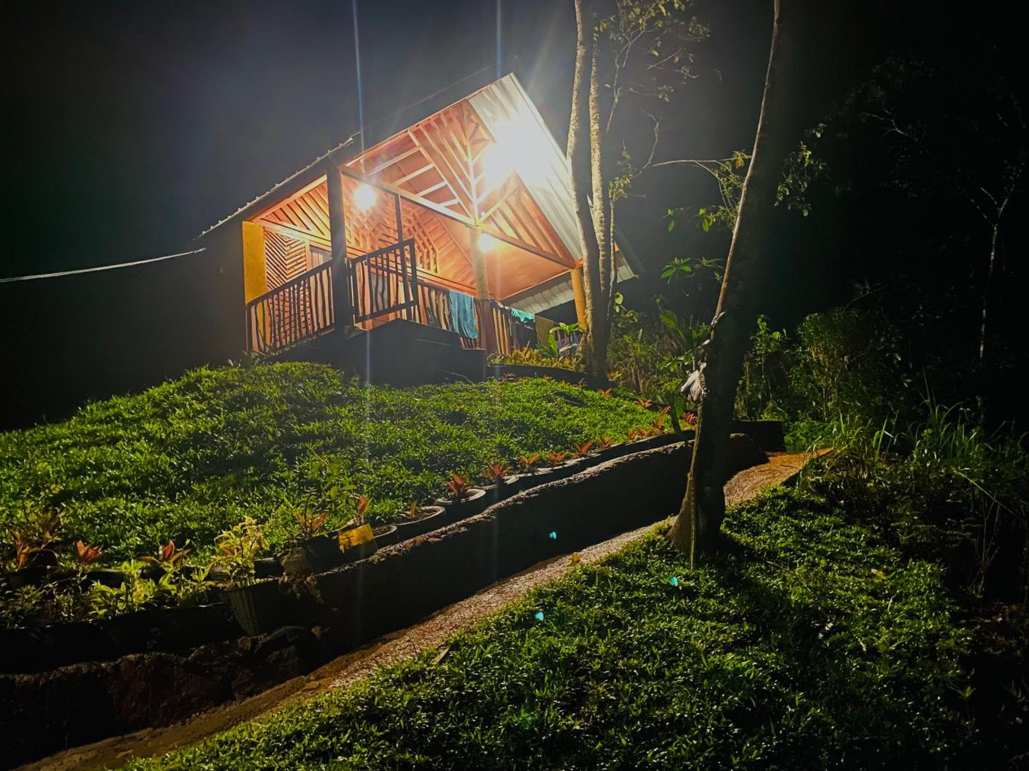 The Rainforest Hideaway Deniyaya Exteriör bild