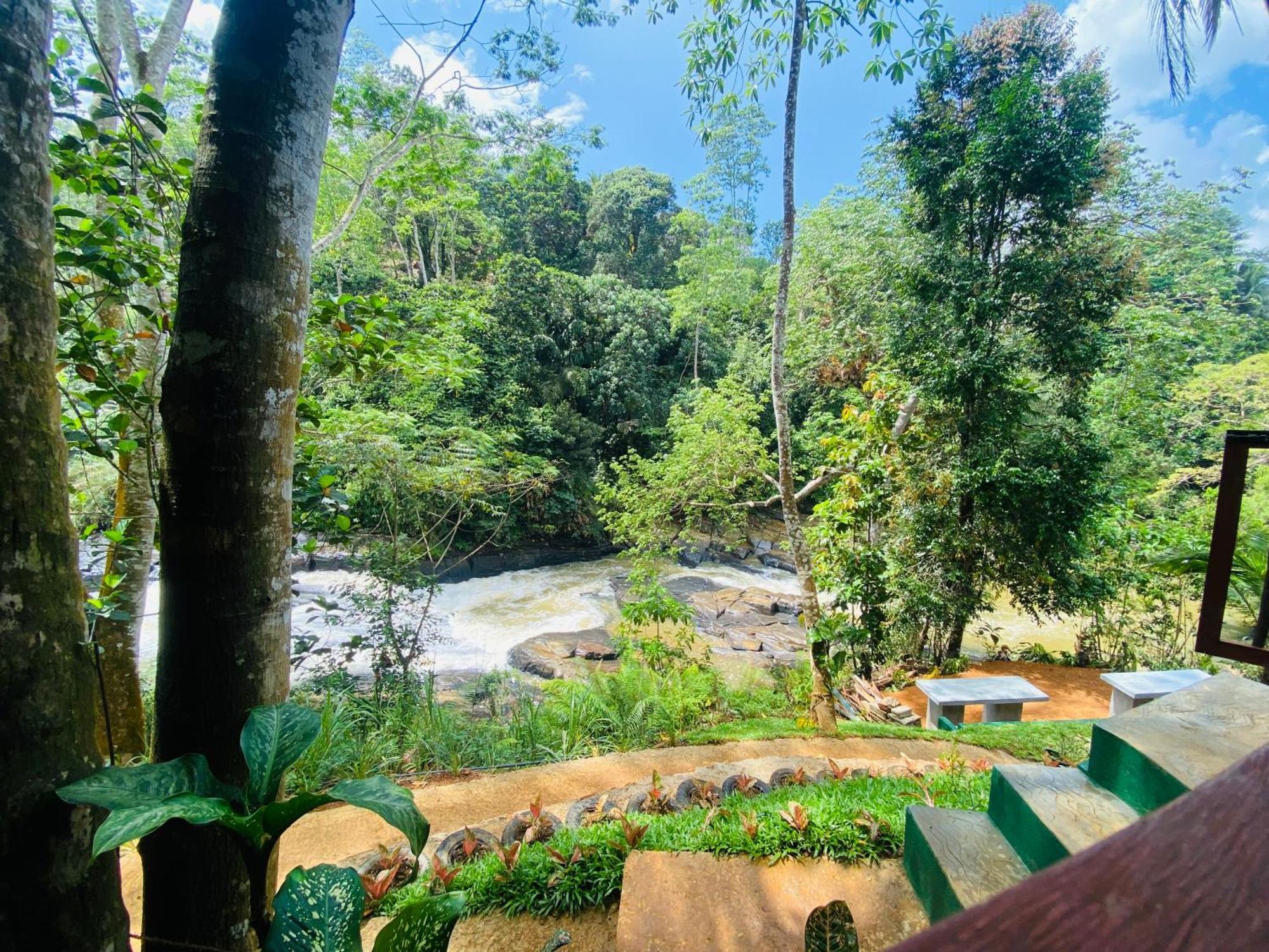 The Rainforest Hideaway Deniyaya Exteriör bild