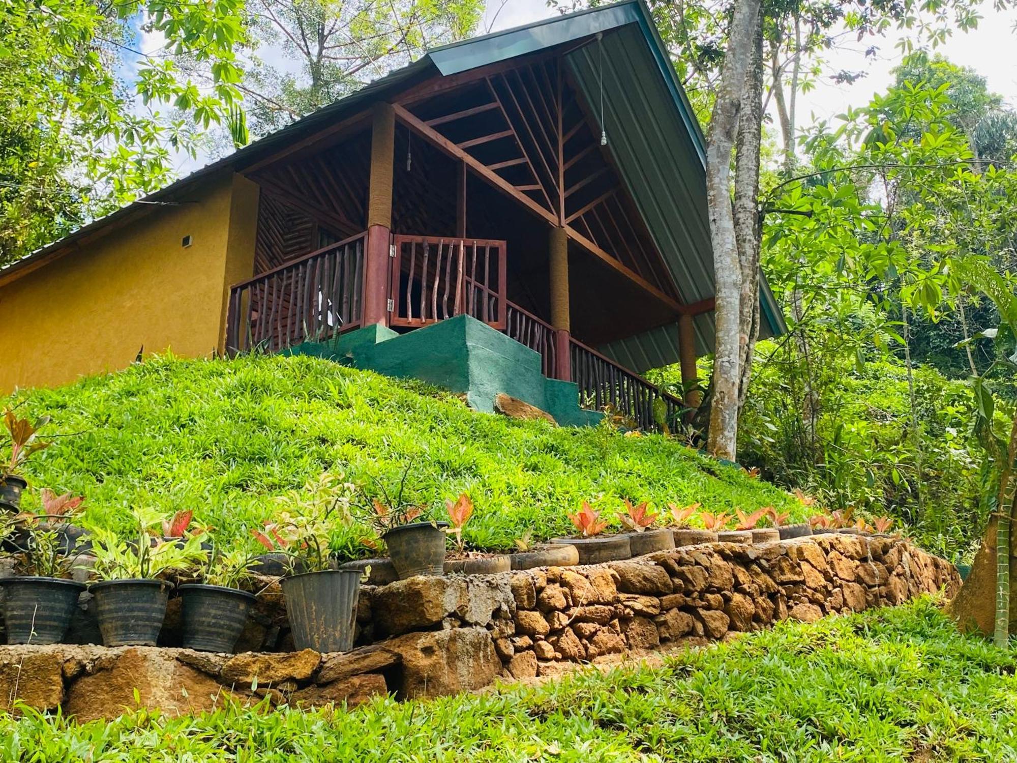 The Rainforest Hideaway Deniyaya Exteriör bild