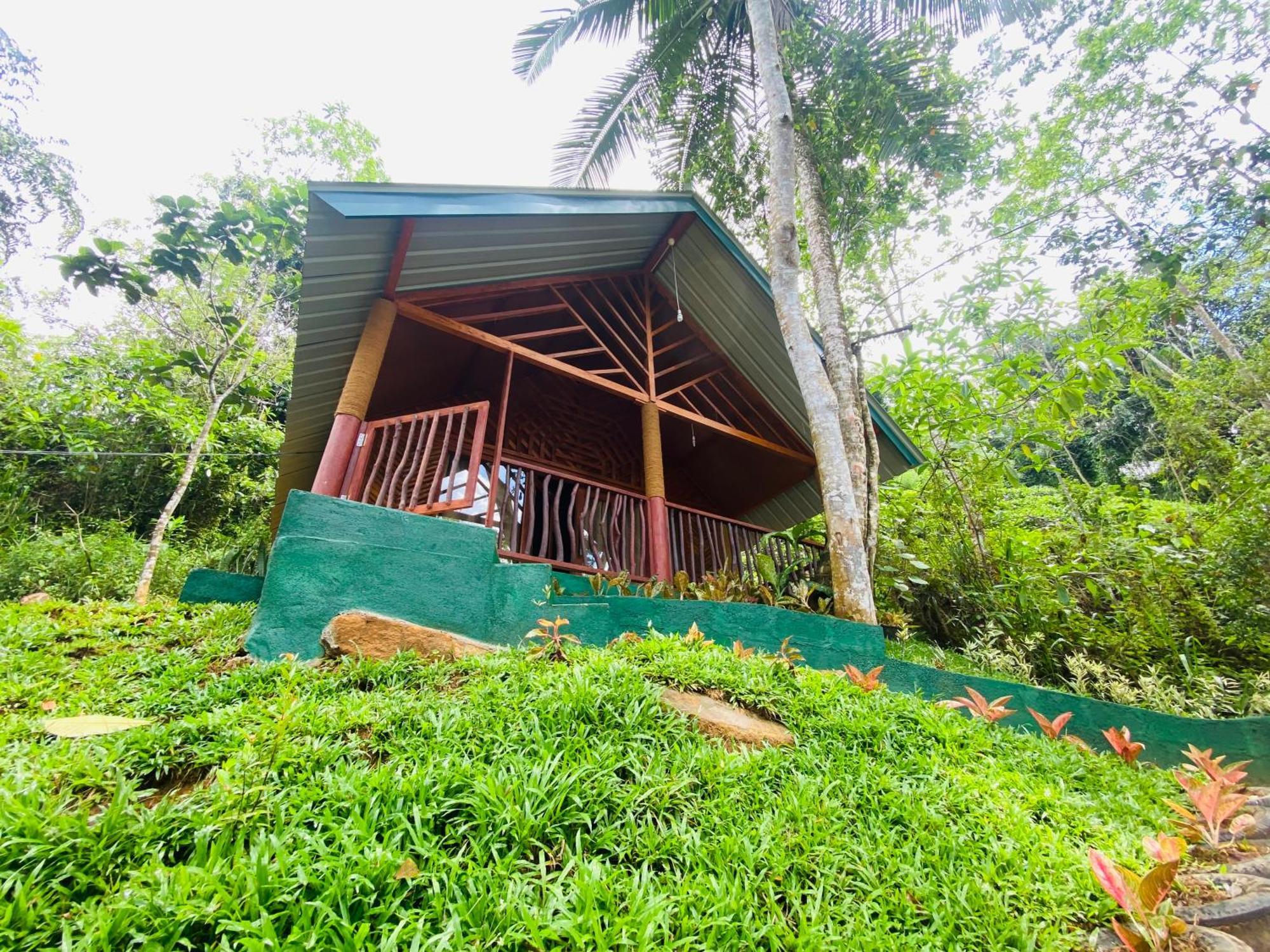 The Rainforest Hideaway Deniyaya Exteriör bild