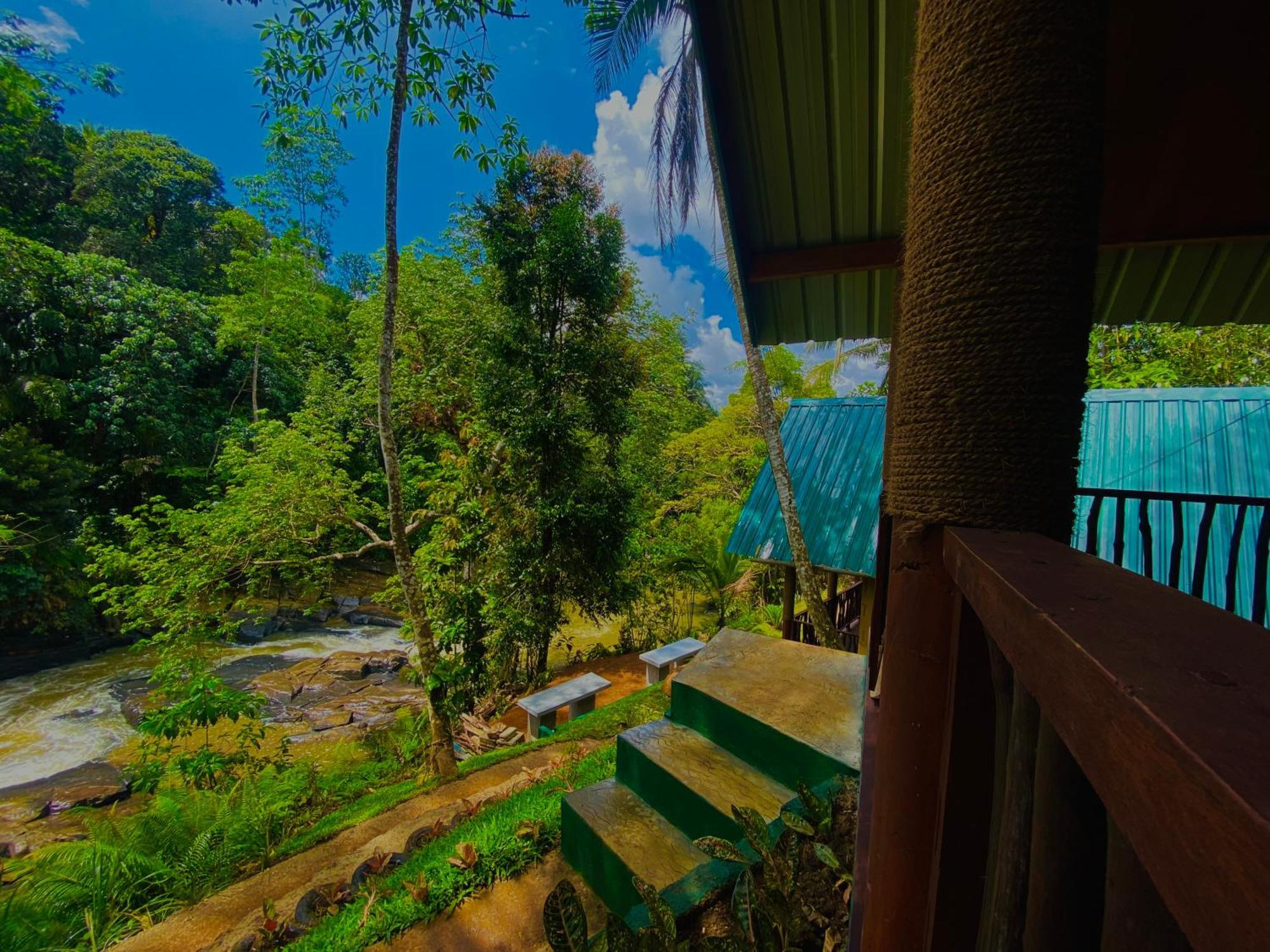 The Rainforest Hideaway Deniyaya Exteriör bild