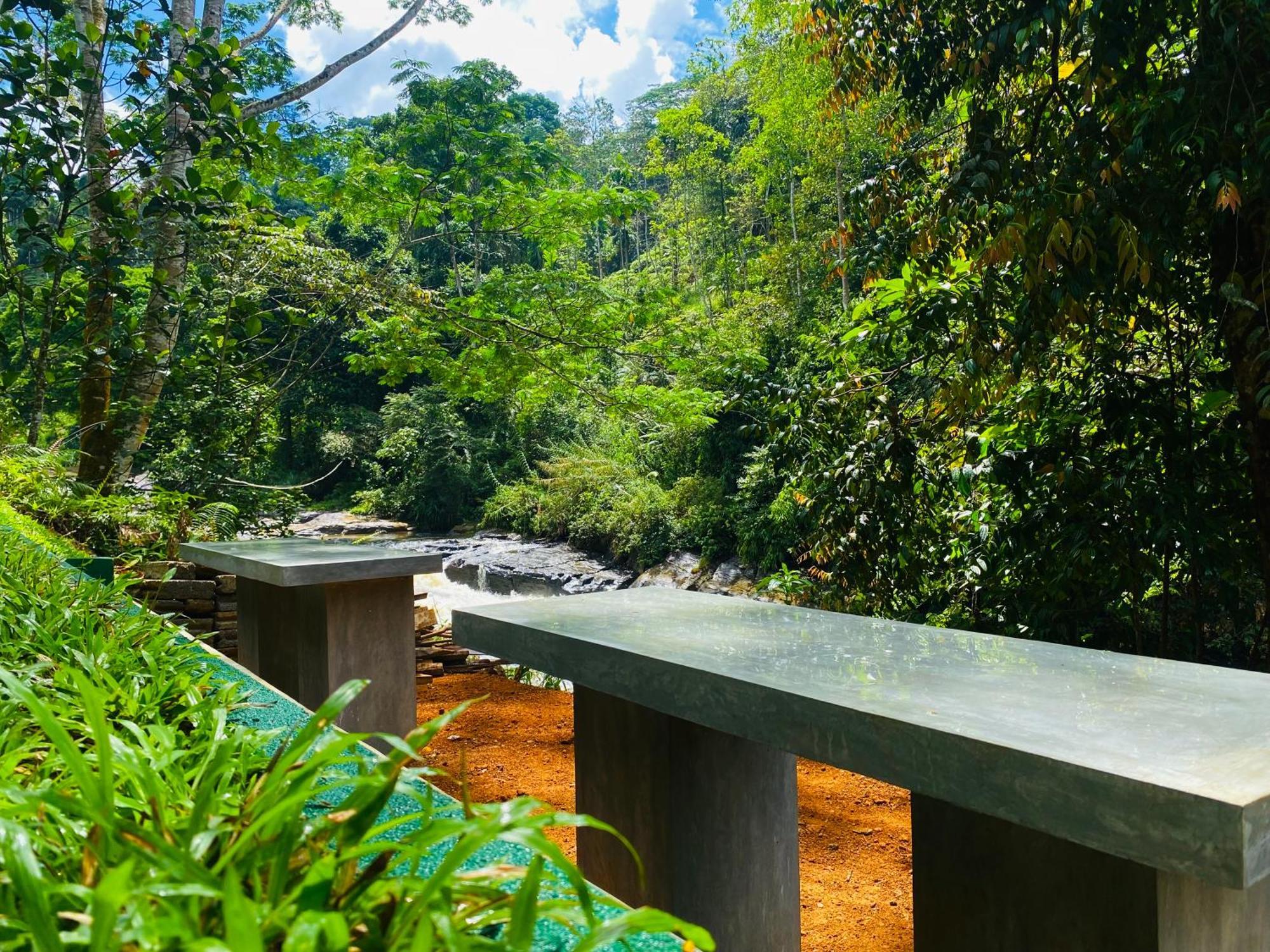 The Rainforest Hideaway Deniyaya Exteriör bild