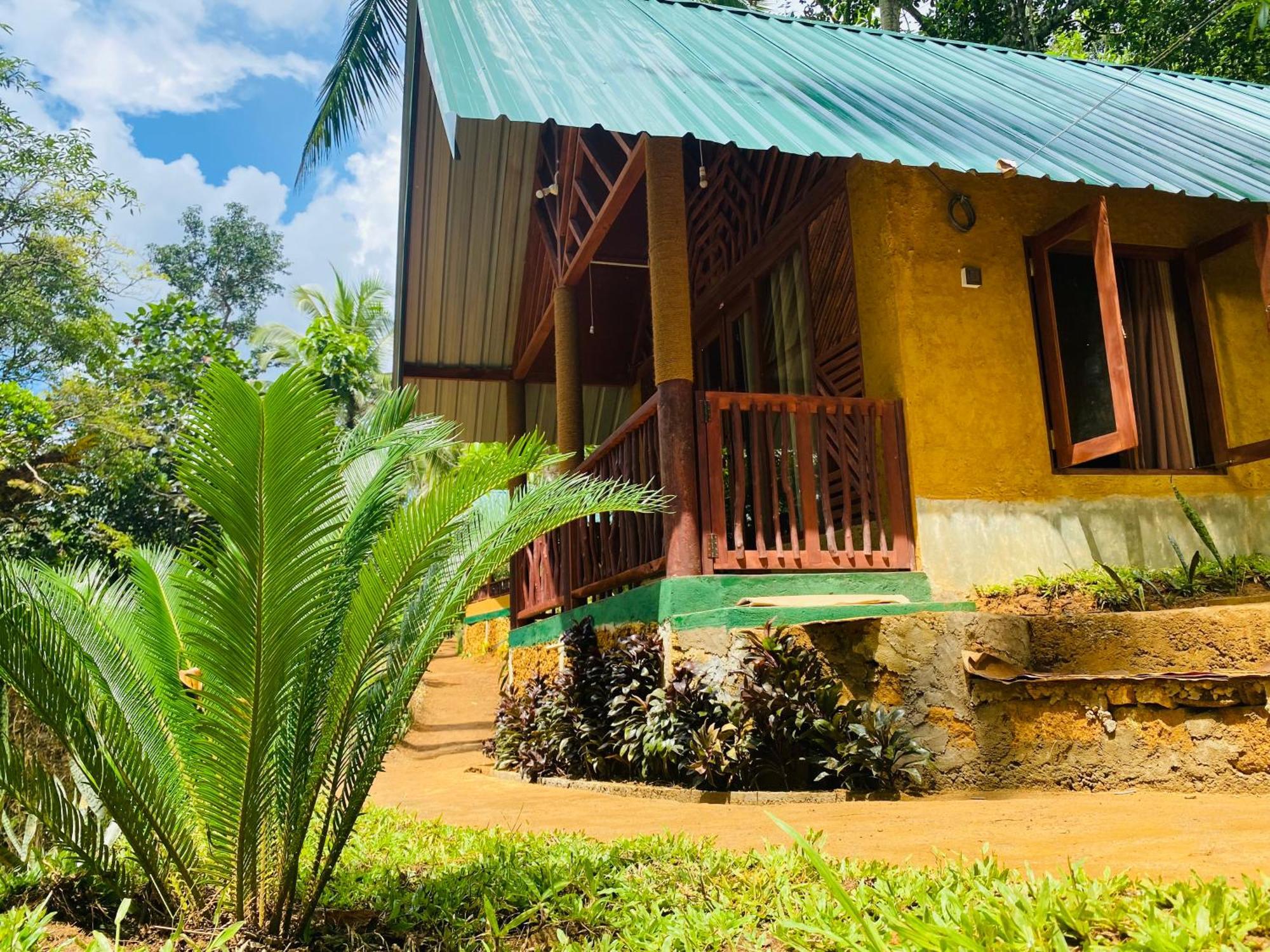 The Rainforest Hideaway Deniyaya Exteriör bild